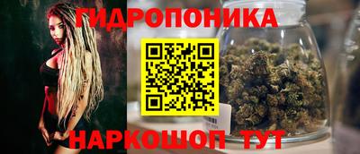 прущая мука Дубна