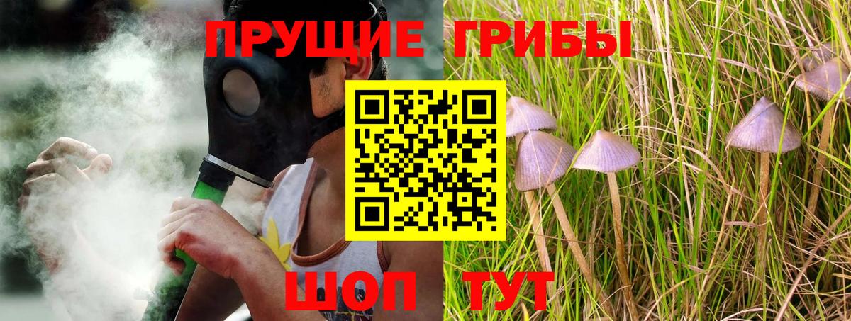 Глазов  Галлюциногенные грибы мицелий  Вход с VPN 