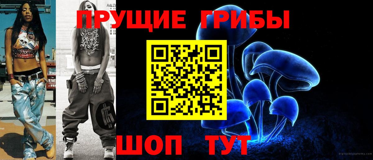 Галлюциногенные грибы Psilocybe Глазов